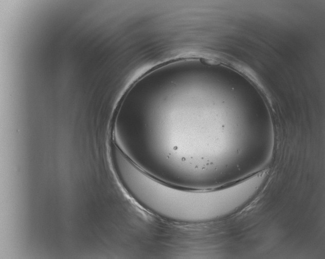 X0000061121048200511241704