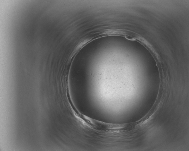 X0000061121049200511241705