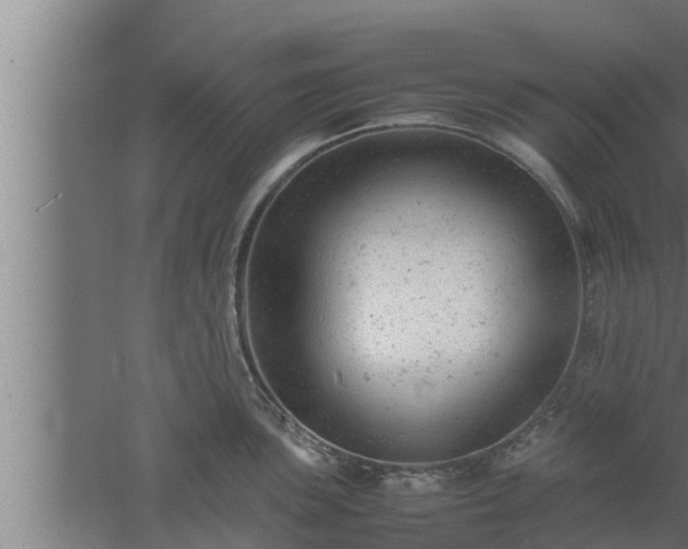 X0000061121051200511241705