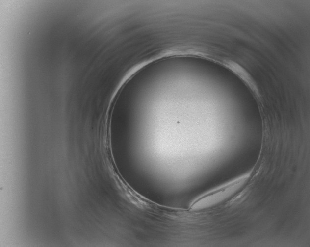 X0000061121052200511241705