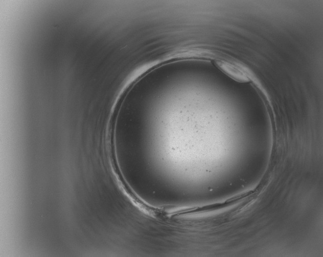 X0000061121053200511241705