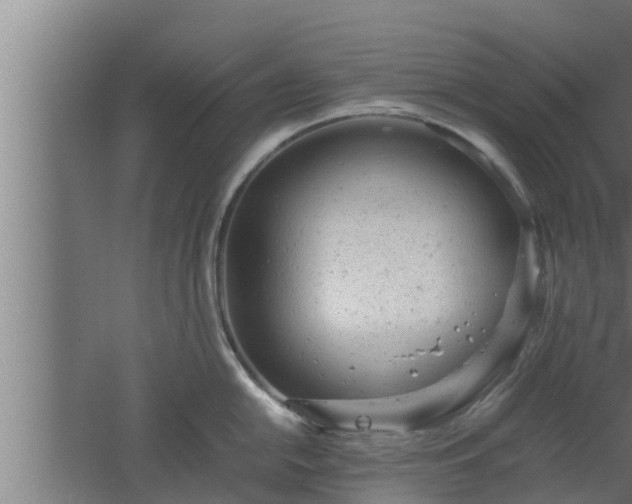 X0000061121054200511241705