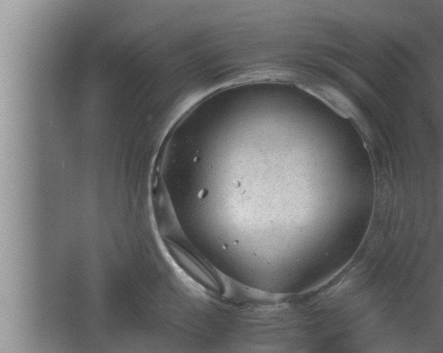 X0000061121055200511241705