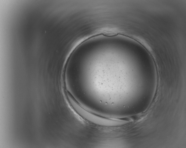 X0000061121056200511241705