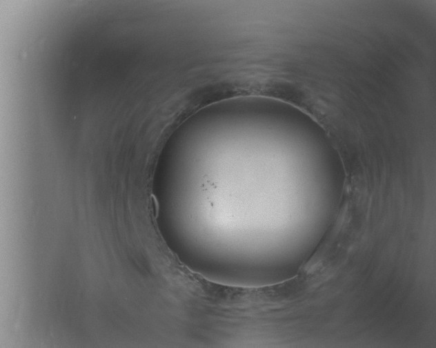 X0000061121057200511241704