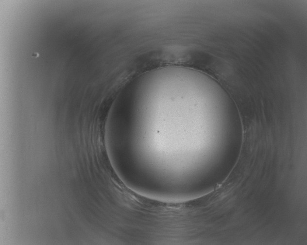 X0000061121058200511241704