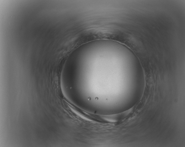 X0000061121061200511241704