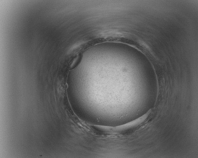 X0000061121063200511241704