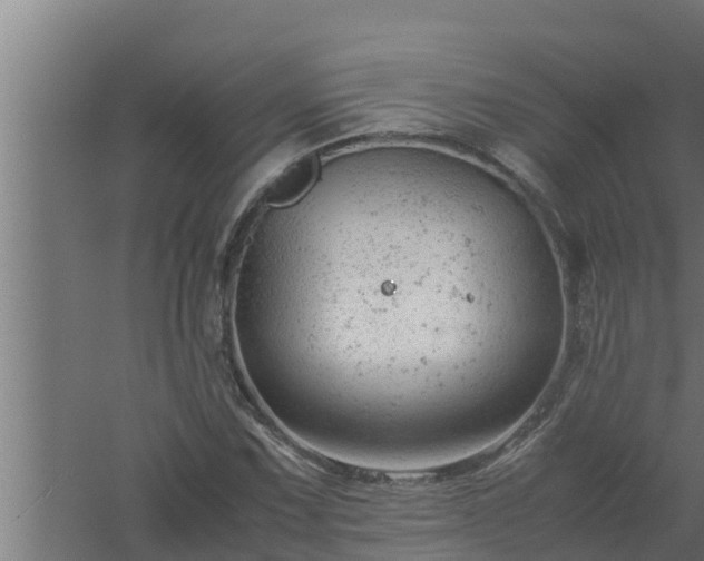 X0000061121067200511241704