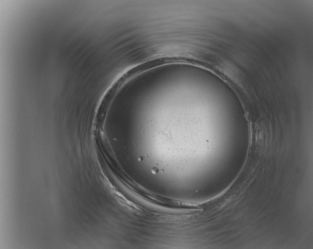 X0000061121068200511241704