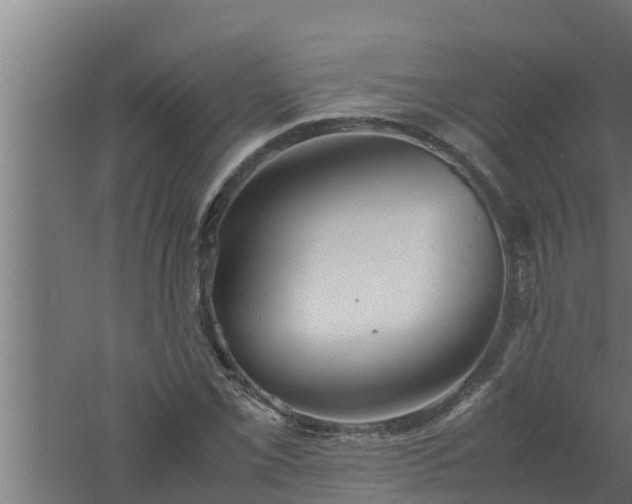 X0000061121069200511241704