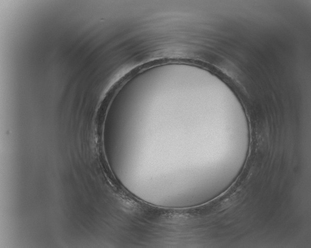 X0000061121070200511241704