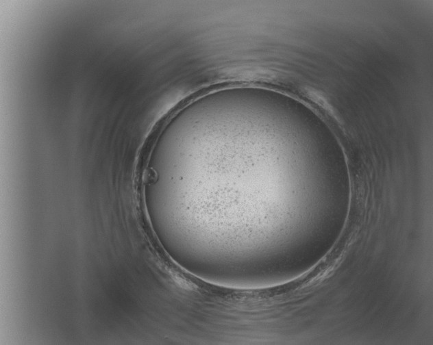 X0000061121071200511241704