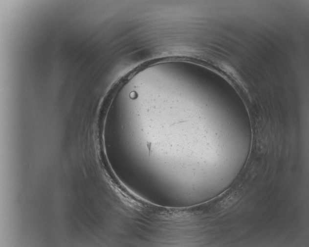 X0000061121072200511241704