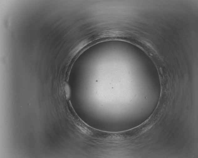 X0000061121073200511241704