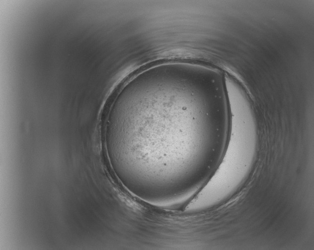 X0000061121075200511241703