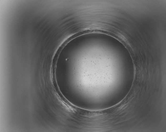 X0000061121076200511241703