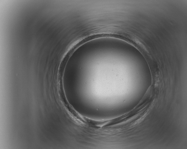 X0000061121077200511241703