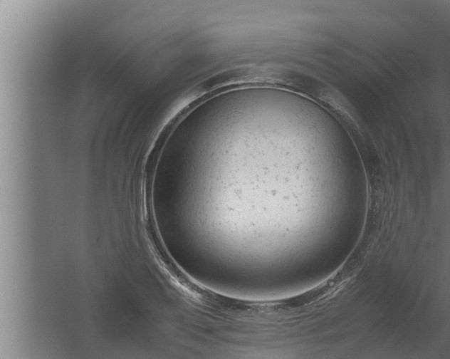 X0000061121079200511241703