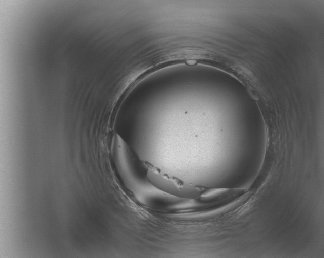 X0000061121081200511241703