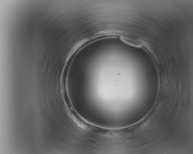 X0000061121082200511241703