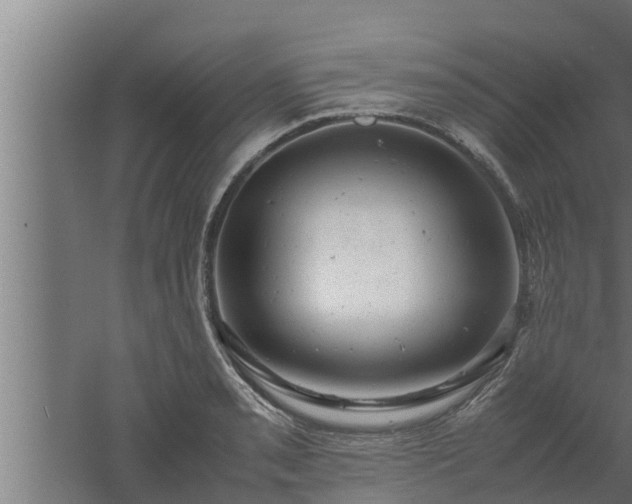 X0000061121085200511241703