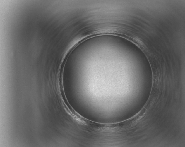 X0000061121086200511241703