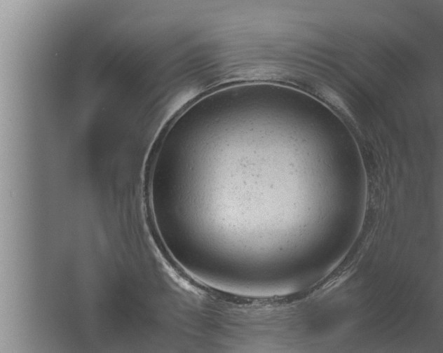 X0000061121087200511241703