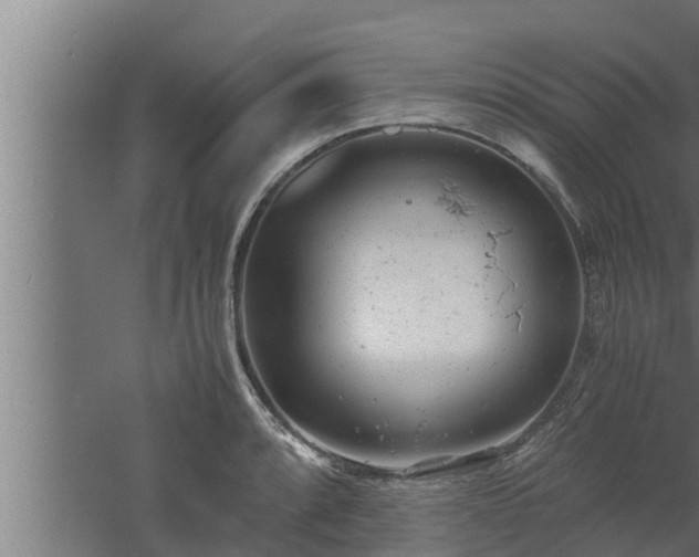 X0000061121088200511241703