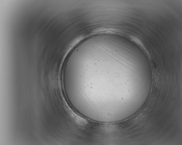 X0000061121090200511241703