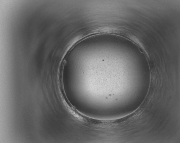 X0000061121091200511241703