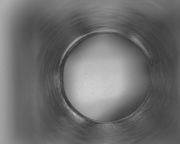 X0000061121092200511241703