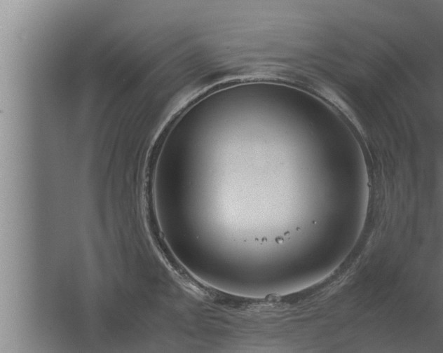 X0000061121093200511241703