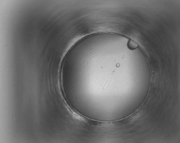 X0000061121094200511241703