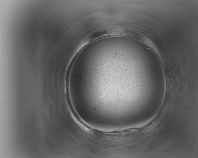 X0000061121095200511241703