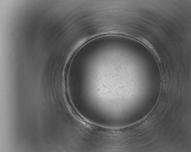 X0000061121096200511241703