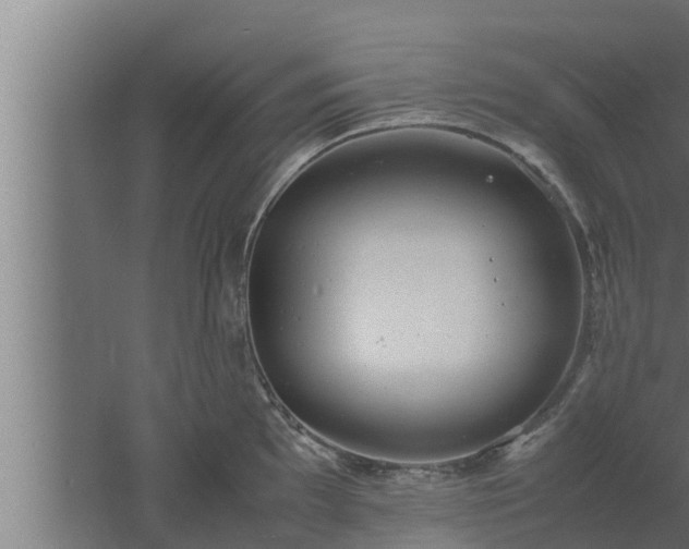 X0000061121097200511241703