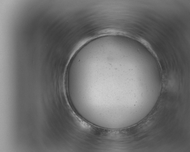 X0000061121098200511241703