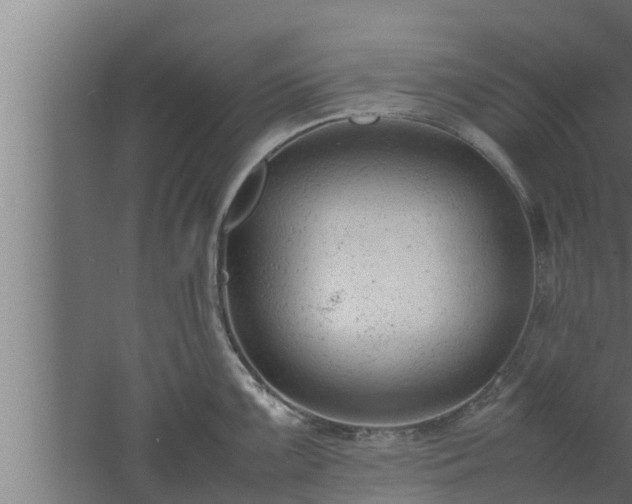 X0000061121099200511241703