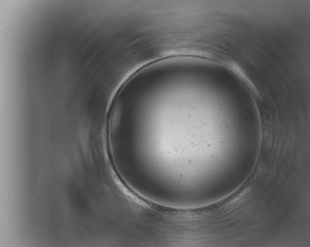 X0000061121100200511241703