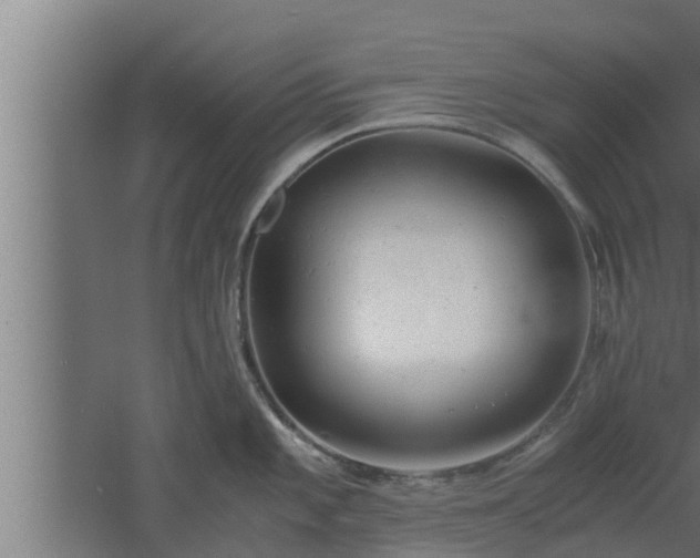 X0000061121101200511241703