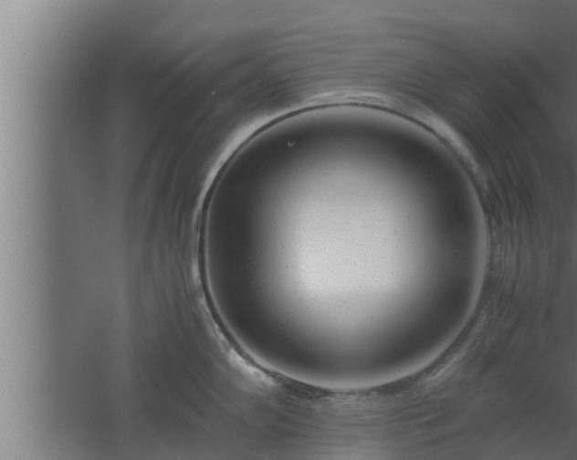 X0000061121102200511241703