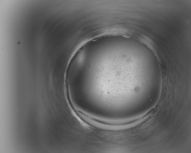 X0000061121103200511241703