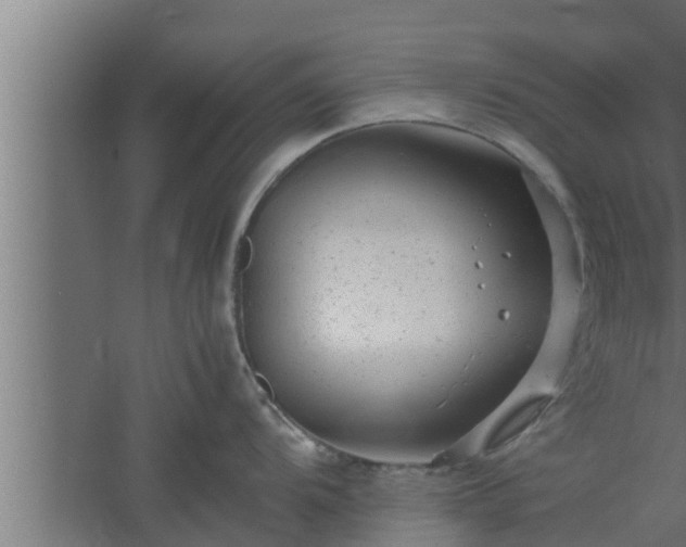 X0000061121104200511241703