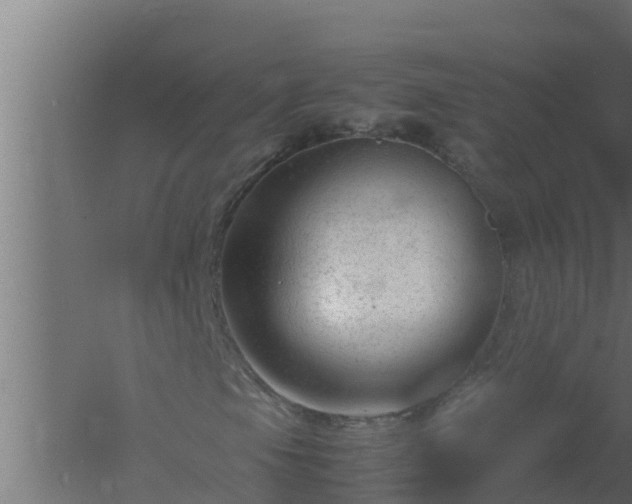 X0000061121105200511241702