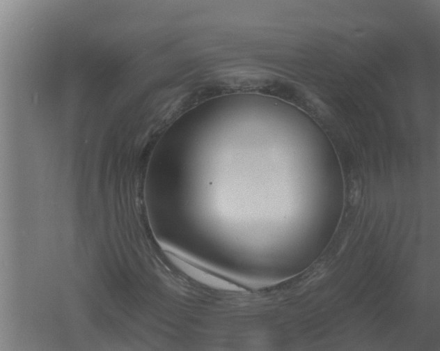 X0000061121108200511241702