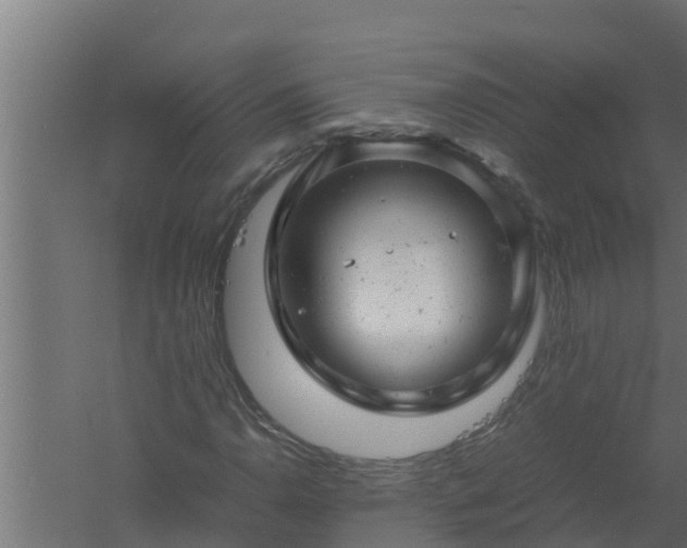 X0000061121110200511241702