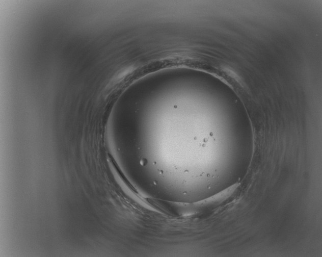 X0000061121111200511241702