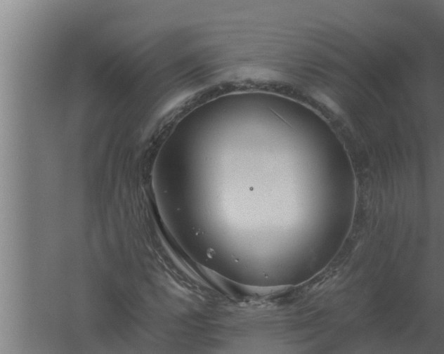 X0000061121112200511241702