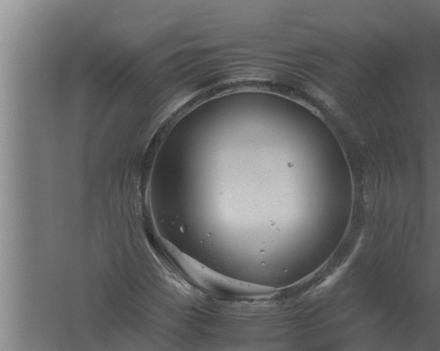 X0000061121113200511241702